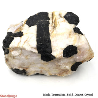 Black Tourmaline on Quartz Matrix U#2    from Stonebridge Imports