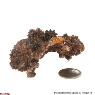 Descloizite Mineral Specimen U#9 - 2 1/4"    from Stonebridge Imports