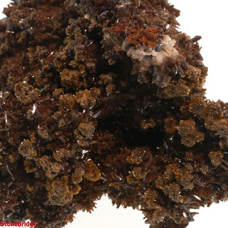 Descloizite Mineral Specimen U#6 - 2 3/4"    from Stonebridge Imports