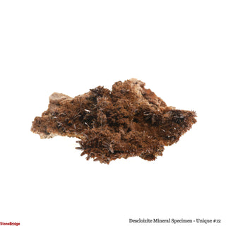 Descloizite Mineral Specimen U#12 - 2 1/2"    from Stonebridge Imports
