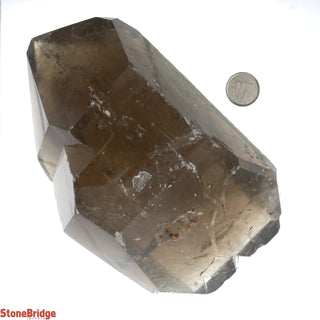Smoky Quartz Point E #6 - 900g to 1.1kg    from Stonebridge Imports