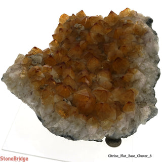 Citrine Cluster #8 - 9" (Enhanced) from Stonebridge Imports