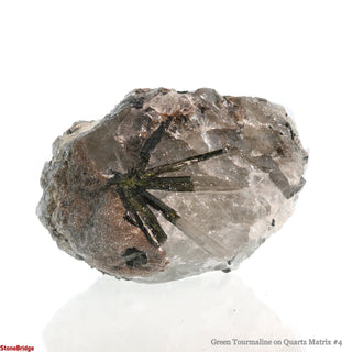 Green Tourmaline on Quartz Matrix #4    from Stonebridge Imports
