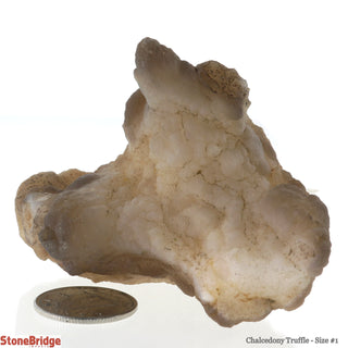 Chalcedony Truffle #1 - 1.5"    from Stonebridge Imports