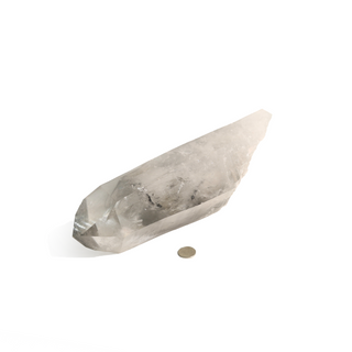 Lemurian Black Phantom Quartz Point U#2 - 11 1/4" from The Rock Space