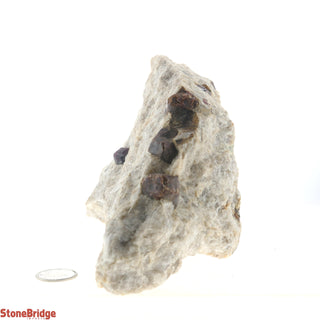 Garnet in Mica U#1    from Stonebridge Imports