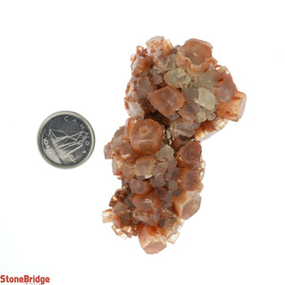 Aragonite Sputnik Cluster #4    from Stonebridge Imports