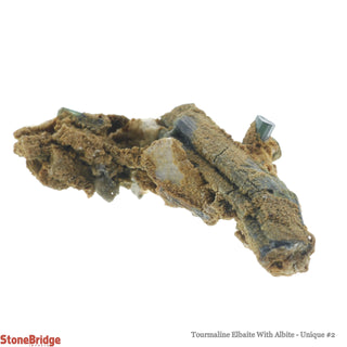 Tourmaline Elbaite With Albite U#2    from Stonebridge Imports
