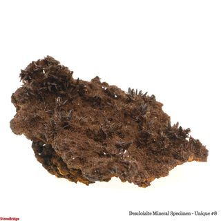 Descloizite Mineral Specimen U#8 - 3"    from Stonebridge Imports