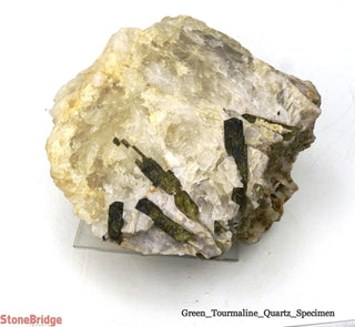 Green Tourmaline on Quartz Matrix U#6    from Stonebridge Imports