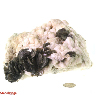 Mica On Albite Chunk #3    from Stonebridge Imports