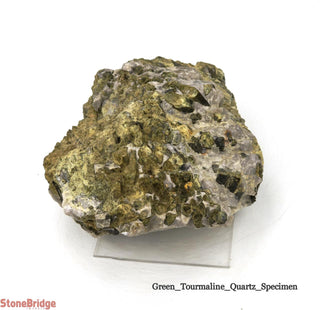 Green Tourmaline on Quartz Matrix U#9    from Stonebridge Imports