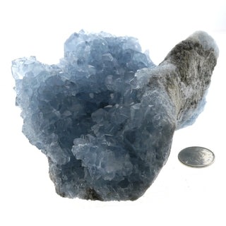 Celestite Geode #5 - 700g to 1000g    from Stonebridge Imports