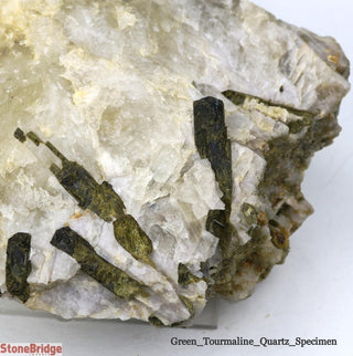 Green Tourmaline on Quartz Matrix U#6    from Stonebridge Imports