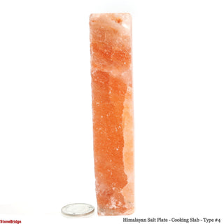 Himalayan Salt Plate - #4 - 8" x 4" x 1" from Stonebridge Imports