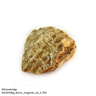 Aragonite Brown Chips - Large    from Stonebridge Imports