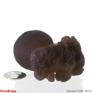 Chalcedony Truffle #2 - 2.5"    from Stonebridge Imports