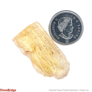 Imperial Topaz Specimen U#5 - 58ct    from Stonebridge Imports