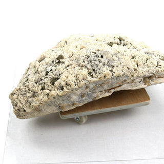 Albite with Cleavelandite Crystal U#21 - 20"    from Stonebridge Imports