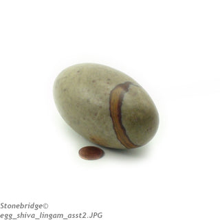 Narmada Shiva Lingam Egg #4    from Stonebridge Imports