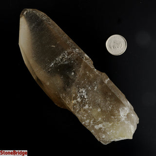 Smoky Lemurian Points #3 - 200g to 399g    from Stonebridge Imports