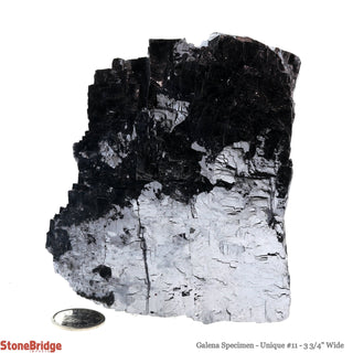 Galena Specimen U#11    from Stonebridge Imports