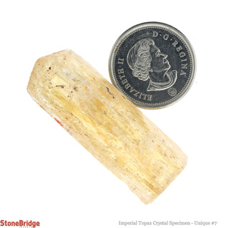 Imperial Topaz Specimen U#7 - 56ct    from Stonebridge Imports