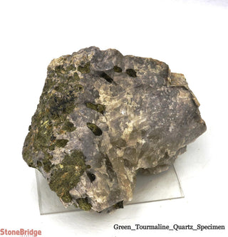 Green Tourmaline on Quartz Matrix U#11    from Stonebridge Imports