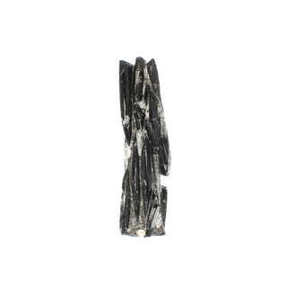 Orthoceras Tower Fossil U#14 - 20"    from Stonebridge Imports
