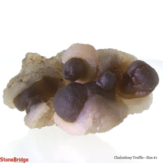 Chalcedony Truffle #1 - 1.5"    from Stonebridge Imports