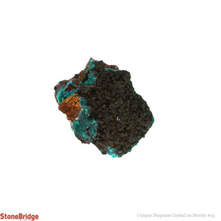 Dioptase Specimen on Matrix U#13 - 1"    from Stonebridge Imports