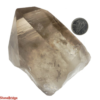 Smoky Quartz Point E #3 - 200g to 399g    from Stonebridge Imports