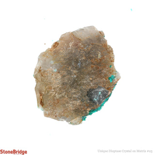 Dioptase Specimen on Matrix U#24 - 1 1/2"    from Stonebridge Imports