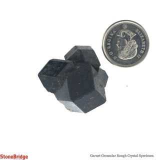 Garnet Grossular Rough Crystal Specimen #1 - 10g to 20g    from Stonebridge Imports