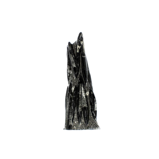 Orthoceras Tower Fossil U#21 - 22"    from Stonebridge Imports
