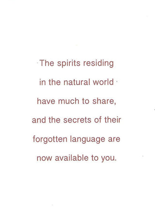 The Spirit Animal Oracle - DECK from The Rock Space