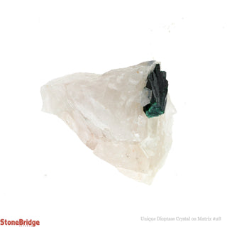 Dioptase Specimen on Matrix U#28 - 1 1/4"    from Stonebridge Imports