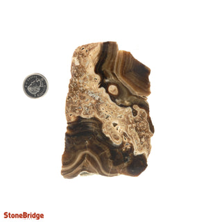 Calcite Chocolate Slice #1    from Stonebridge Imports