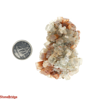 Aragonite Sputnik Cluster #4    from Stonebridge Imports