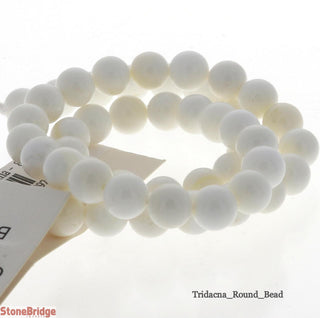 Tridacna - Round Strand 15" - 8mm    from Stonebridge Imports