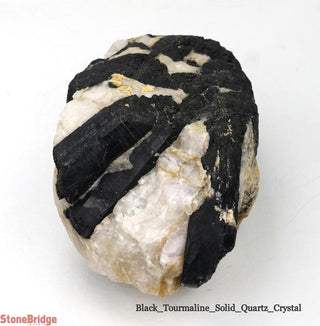 Black Tourmaline on Quartz Matrix U#2    from Stonebridge Imports