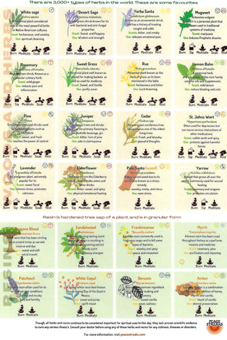 QuickStudy Guide 2.0 - Herbs & Cleansing from The Rock Space