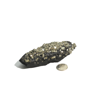 Pyrite on Basalt Crystal Specimen #1 - Up to 2 1/4"    from Stonebridge Imports