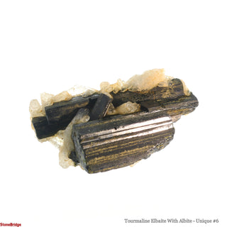 Tourmaline Elbaite With Albite U#6    from Stonebridge Imports