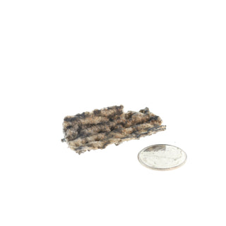 Fulgurite Petrified Lightning #1 - 1" to 2"    from Stonebridge Imports