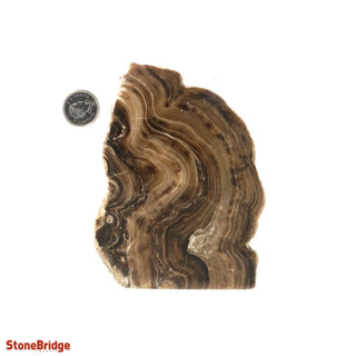 Calcite Chocolate Slice #4    from Stonebridge Imports