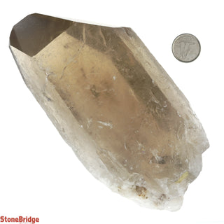 Smoky Quartz Point E #5 - 600g to 899g    from Stonebridge Imports