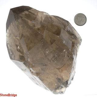 Smoky Quartz Point E #5 - 600g to 899g    from Stonebridge Imports