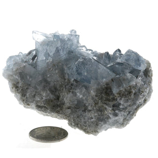 Celestite Geode #2 - 200g to 300g    from Stonebridge Imports