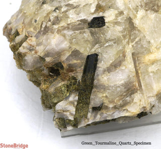 Green Tourmaline on Quartz Matrix U#6    from Stonebridge Imports